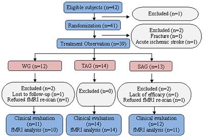 Acupuncture Modulates the Cerebello-Thalamo-Cortical Circuit and Cognitive Brain Regions in Patients of Parkinson's Disease With Tremor